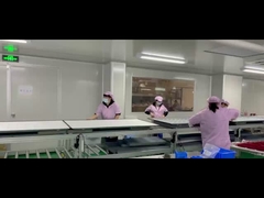 55-calowa tablica cyfrowa z podłączeniem Wi-Fi do nauczania wbudowana w głośniki